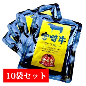 宮崎牛 ビーフカレー10袋セット 送料無料 宮崎県産 牛肉 野菜 煮込み 買い置き 非常食