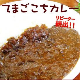 てまごこちカレー 1袋 宮崎産 レトルト コク 野菜の旨み