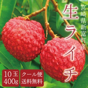 限定販売 7月上旬発送開始予定 宮崎県産 生ライチ もりのライチ 10玉400g入り 芳醇な香り ジューシー 味わい 国産生ライチ ギフト おすす