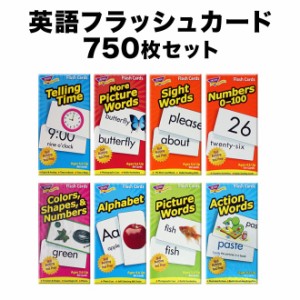 フラッシュカード 750枚セット 新品 送料無料 英語 子供 幼児 英語教材 英単語 おもちゃ カード