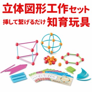 Dive into Shapes! A Sea and Build Geometry Set 挿して繋げて 2D＆3Dの図形を作ろう 知育玩具 立体パズル 知育 教材