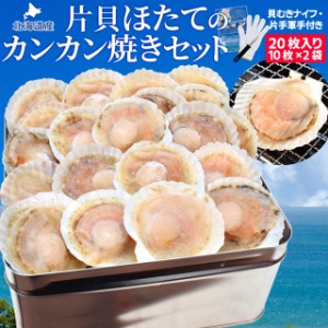 ほたて カンカン焼きセット ２０枚入 冷凍ほたて 送料無料 北海道産 半缶入り（貝むきナイフ・片手用軍手付き） ほたて片貝 海鮮 バーベ