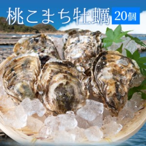 牡蠣 桃こまち ２０個 殻付き牡蠣 （牡蠣ナイフ・片手用軍手付き）発泡箱入 三重県鳥羽産（加熱用） 母の日 ギフト