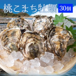 牡蠣 桃こまち ３０個 殻付き牡蠣 （牡蠣ナイフ・片手用軍手付き）発泡箱入 三重県鳥羽産（加熱用） 母の日 ギフト