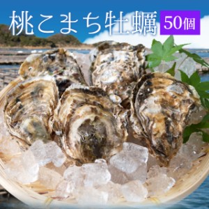 牡蠣 桃こまち ５０個 殻付き牡蠣 （牡蠣ナイフ・片手用軍手付き）発泡箱入 三重県鳥羽産（加熱用） 母の日 ギフト