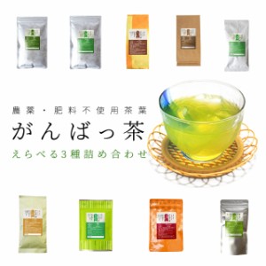 日本茶 伊勢茶 選べる お茶 ３袋 詰合せ 農薬・肥料不使用栽培 無農薬 無肥料 水出し緑茶 がんばっ茶