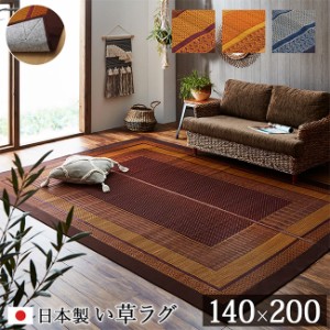 マット おしゃれ い草ラグカーペット DXランクス 140x200cm 日本製 九州産い草 消臭効果 調湿効果 リビング ダイニング 子供部屋 寝室 裏