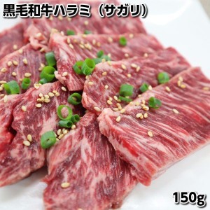 国産黒毛和牛焼肉用ハラミ　サガリ　150g Wagyu hanging tender