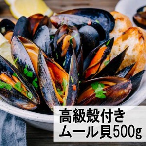 殻付ムール貝 500g×1袋【冷凍便】ムール貝　殻付き　パスタ　パエリア　ワイン蒸し　海鮮　海鮮料理