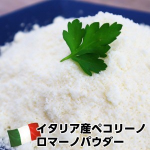 イタリア産ペコリーノロマーノパウダー500g Pecorino Romano cheese powder 500g父の日 敬老の日