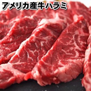 アメリカビーフ　牛ハラミ　焼肉　バーベキュー