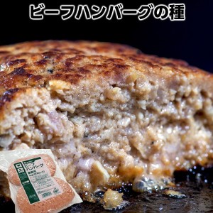 業務用ふんわりとやわらかなビーフハンバーグの種500g×2