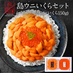 うに いくら 礼文・利尻島産 ウニ 生エゾバフンウニ 90g+ 昆布だし イクラ 150g【ギフト箱入り】 送料無料 北海道 雲丹 無添加 塩水パッ