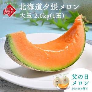 【6月15日〜16日お届け】父の日 ギフト 夕張メロン 特大2.0kg(1玉)【送料無料】【熨斗対応】【共撰優品】 見た目も綺麗な共撰優品 産 土