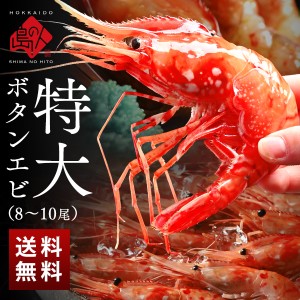 ロシア産 ボタンエビ 500g 8-10尾 メス【送料無料】 北海道 お取り寄せグルメ 牡丹海老 ぼたんえび えび 海老 食品 食べ物 海鮮 海産物 