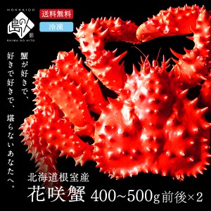 【2尾セット】北海道 根室産 花咲ガニ (姿) 400〜500g前後【送料無料】カニ 蟹 花咲蟹 ギフト グルメ 食べ物 海鮮 魚介 人気