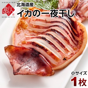 イカの一夜干し×1枚（小サイズ）【送料無料】「イカ」の旨みを熟成させる一夜干し加工 北海道 お土産 お取り寄せ ギフト いか イカ 一夜