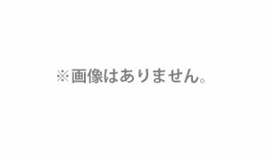 (HiKOKI) 研磨ベルト 20枚入 粒度60 SB3602DA専用 0037-7028 ジルコニア(Z) 金属研削全般 20mmx520mm 00377028 日立 ハイコーキ