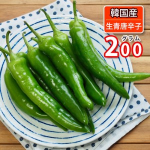 【10月7日入荷・発送】韓国産 青唐辛子　生青唐辛子 200g「辛口」クール便 (11131x2) 