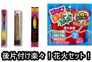 【送料無料】　【片付け楽々線香花火4点セット】東の線香花火 ＆ 西の線香花火 ＆ 純国産線香花火 ＆ はなび固めてポイ (国産 日本製 線