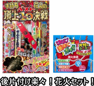 【送料無料】　【片付け楽々2点セット】手持ち花火のベスト10　 ＆ はなび固めてポイ (手持ち花火１１種類　点火用ローソク　花火が楽し