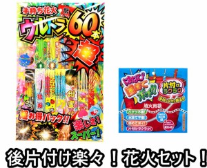 【送料無料】　【片付け楽々2点セット】手持ち花火ウルトラ60本超　＆ はなび固めてポイ (手持ち 線香 花火 花火消火剤 凝固剤 消火剤)