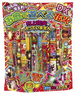 【送料無料】　花火　手持ち花火＋噴出セット　お庭で遊べる花火デラックス