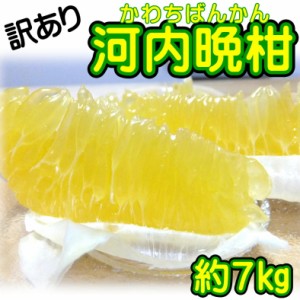 訳あり 愛媛県産 河内晩柑 約7kg