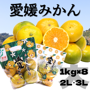 国華園オンラインショップみかん みかん おもちゃ 置物 ゆらゆら
