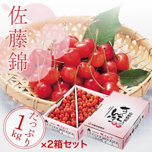 〈山形県産〉お徳用訳ありさくらんぼ「佐藤錦」2kg 山形県 山形 さくらんぼ 佐藤錦 2kg 果物 訳あり 送料無料 サクランボ フルーツ