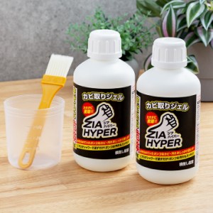 ジアハイパー 500ml 2本セット カビ取り かびとりジェル カビとりジェル カビ取り お風呂 カビ取り剤 カビ 取り 黒カビ 除去 最強 カビ取