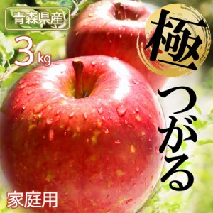  【 先行予約 9月中旬発送 】りんご リンゴ 林檎 ringo 数量限定 2024年産 青森県産りんご ご家庭用 訳あり つがる 3kg (約7玉〜12玉入り