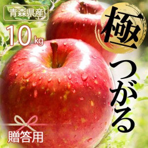  【 先行予約 9月中旬発送 】りんご リンゴ 林檎 ringo 数量限定 2024年産 青森県産りんご 秀品 贈答用 のし無料 つがる10kg (約24玉〜48