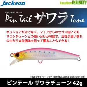 ●ジャクソン　ピンテール サワラチューン 42g 【メール便配送可】 