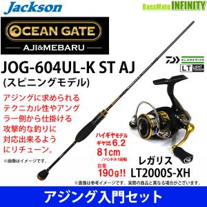 アジング セットの通販 Au Pay マーケット
