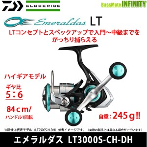 ●ダイワ　19 エメラルダス LT3000S-CH-DH 