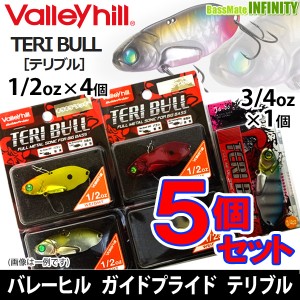 【在庫限定30％OFF】バレーヒル　ガイドプライド テリブル 1/2oz ＆ 3/4oz お買い得5個セット 【メール便配送可】 