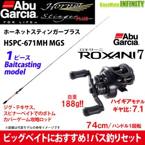 【ビッグベイトバス釣りセット】アブガルシア　ホーネットスティンガープラス HSPC-671MH MGS＋ロキサーニ 7