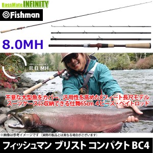 【送料無料】●Fishman フィッシュマン　ブリスト コンパクト BC4（ビーシーフォー） 8.0MH 