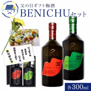 父の日ギフト2024限定 梅酒 BENICHUセット 各300ml お取り寄せ グルメ