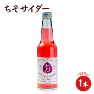 木田　ちそサイダー　250ｇ サイダー　ドリンク　ちそ味　しそ味　 お取り寄せ グルメ