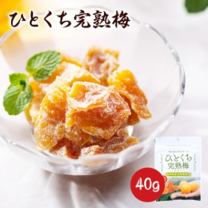 ひとくち完熟梅 40ｇ 国産 ドライフルーツ お菓子 お取り寄せ グルメ