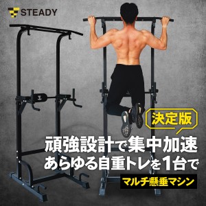 【1位獲得】ぶら下がり健康器 安定強化版 懸垂マシン [1年保証] STEADY(ステディ) ST115 チンニングスタンド 懸垂器具 懸垂スタンド ディ