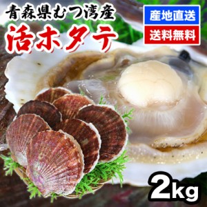 ほたて 2kg ホタテ ホタテ貝柱 帆立 大容量 ほたて貝柱 活ホタテ　青森県産　送料無料　チルド便　新鮮　鮮度命　バーベキュー　BBQ