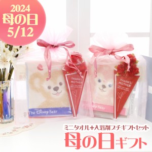 ダッフィー＆フレンズ ミニタオル＆入浴剤ギフト ギフトセット  gift 贈り物 プレゼント 母の日 父の日 記念日 誕生日 クリスマス【ギフ