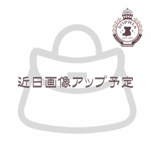 チップ ショルダーバッグ SUISUI SUMMER 2024 ディズニー グッズ お土産【東京ディズニーリゾート限定】