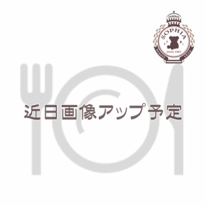 チップ＆デール コースター SUISUI SUMMER 2024 ディズニー グッズ お土産【東京ディズニーリゾート限定】