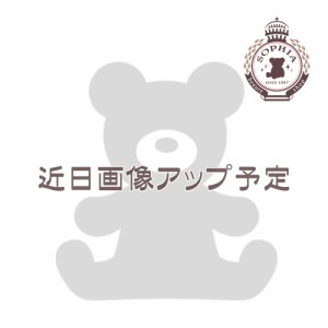 ダッフィー ぬいぐるみバッジ ダッフィー＆フレンズ ワンダフルフレンドシップ 2024 ディズニー グッズ お土産【東京ディズニーシー限定