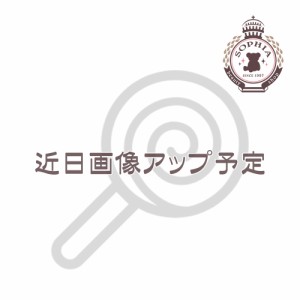 ファンタジースプリングスホテル アソーテッドチョコレート ファンタジースプリングスホテル限定 東京ディズニーシー お菓子 ディズニー 