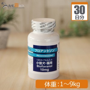 共立製薬 プロアントゾン10mg  (小型犬・猫用） 体重1kg〜9kg 1日1カプセル30日分